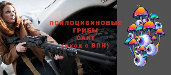 apvp Костерёво