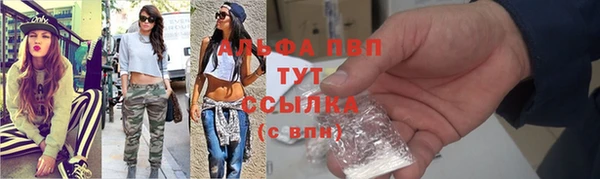 прущие грибы Корсаков