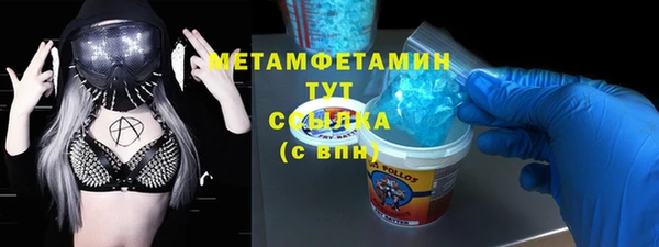 прущие грибы Корсаков