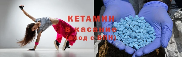 прущие грибы Корсаков