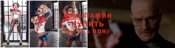 прущие грибы Корсаков