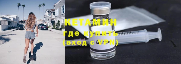 прущие грибы Корсаков