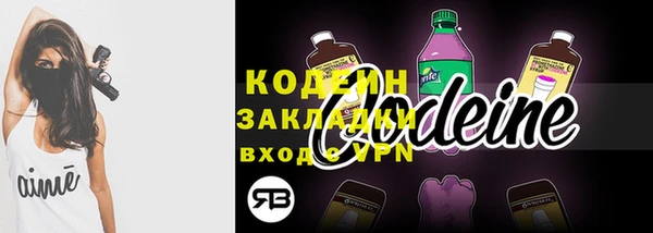 прущие грибы Корсаков