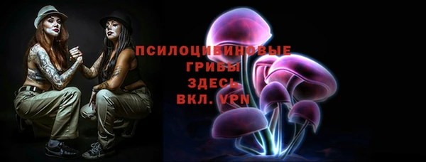 прущие грибы Корсаков