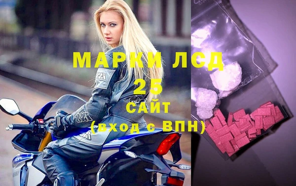 прущие грибы Корсаков