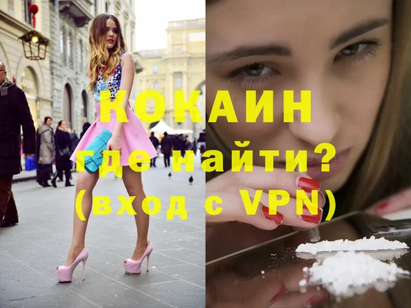 прущие грибы Корсаков