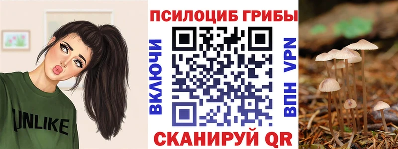 Псилоцибиновые грибы Cubensis  Купить  Лениногорск 