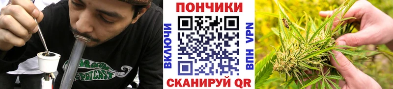 Купить закладки  Лениногорск  Каннабис Amnesia 